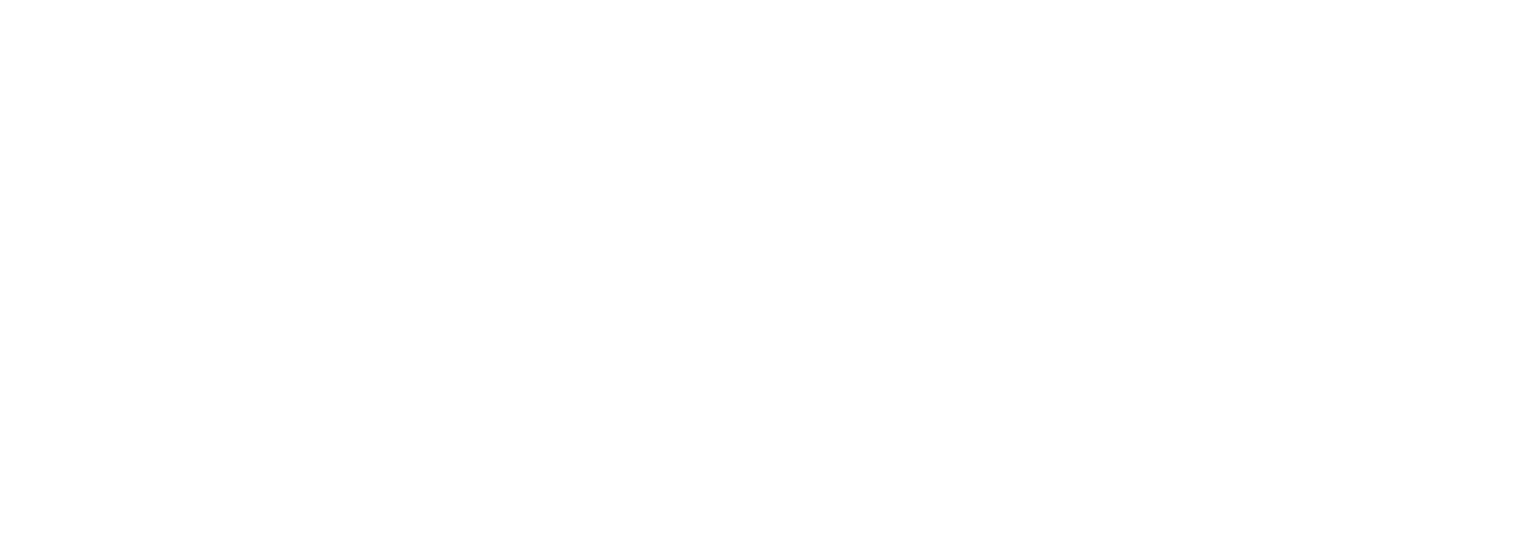 Travel Leaders Network logo